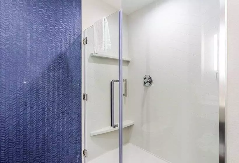 Hotelli Fairfield Inn & Suites By Marriott Dallas Dfw Airport North Coppell Grapevine