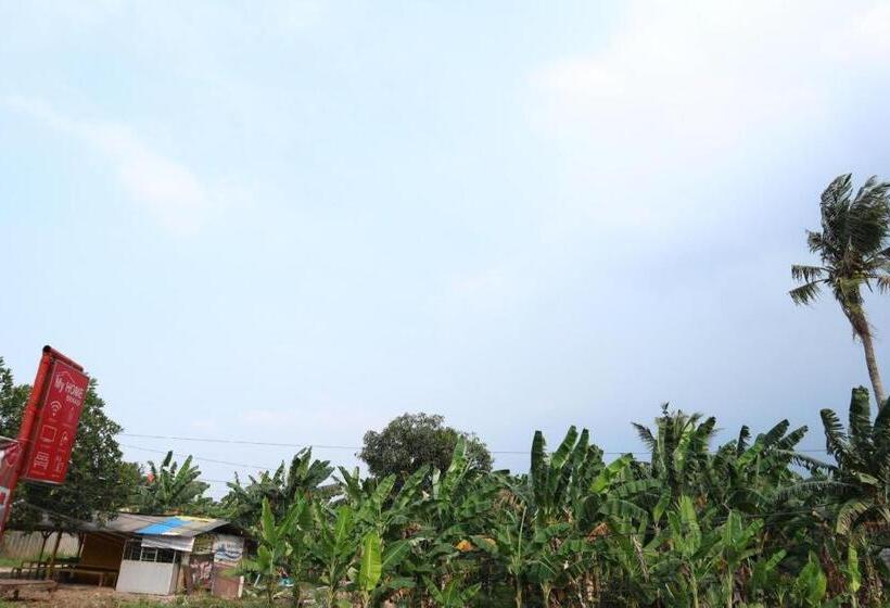 בית מלון כפרי My Home