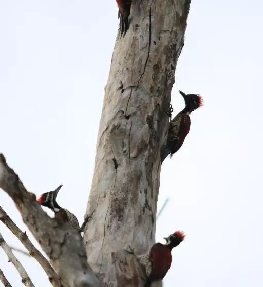 Majatalo Mailagama Cinnamon Residence