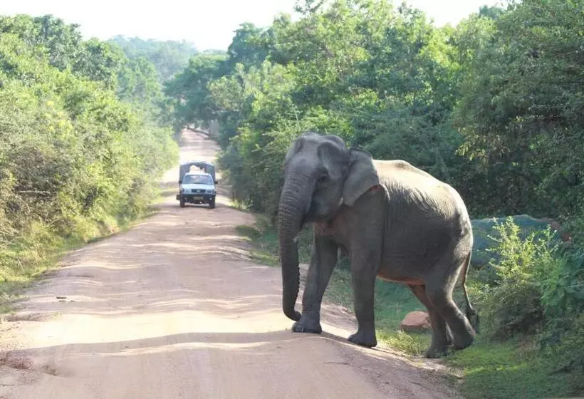Majatalo Mailagama Cinnamon Residence