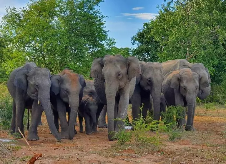 Majatalo Mailagama Cinnamon Residence