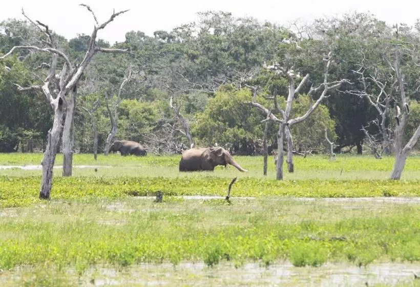 Majatalo Mailagama Cinnamon Residence