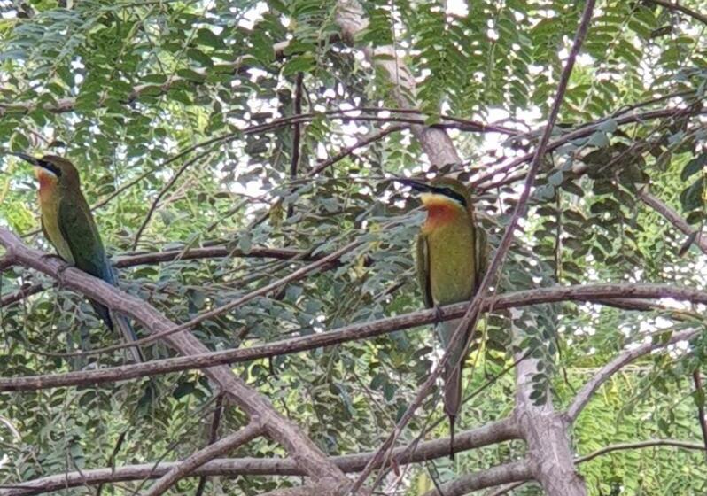 Pensjonat Mailagama Cinnamon Residence