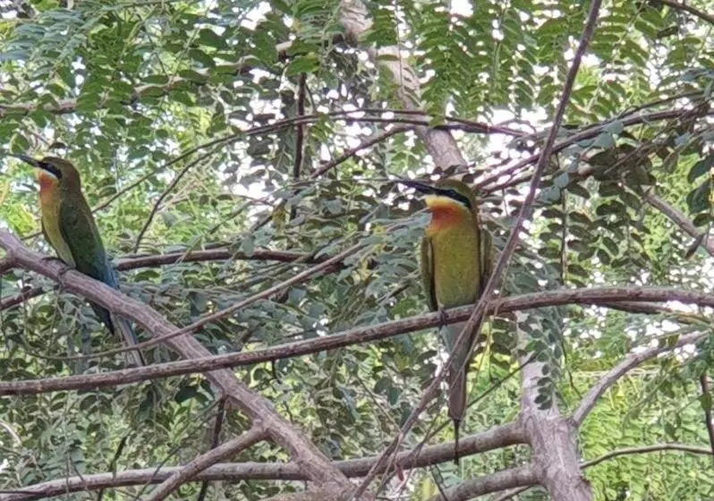 Majatalo Mailagama Cinnamon Residence