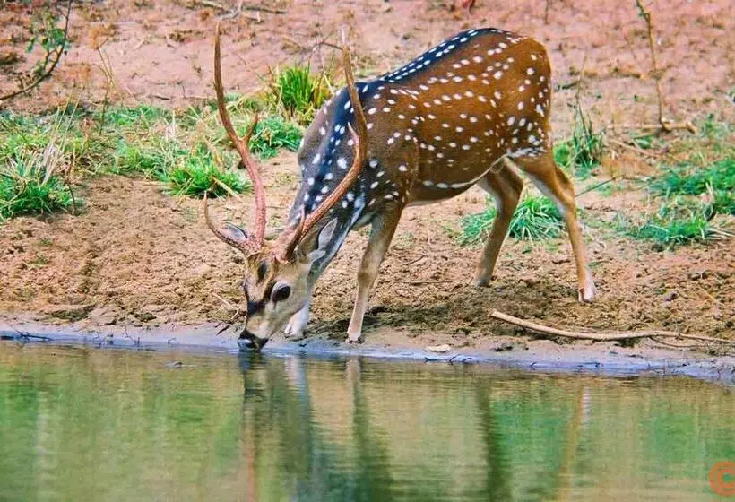Majatalo Mailagama Cinnamon Residence