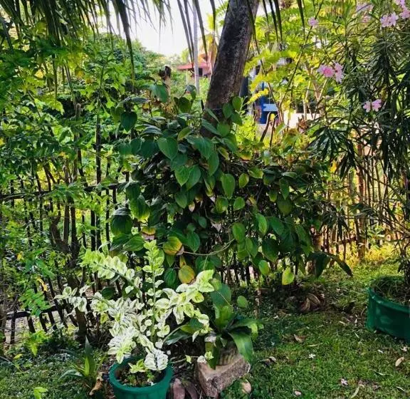 Pension Thusitha S Nest
