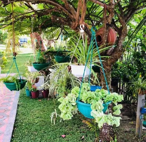 Pension Thusitha S Nest