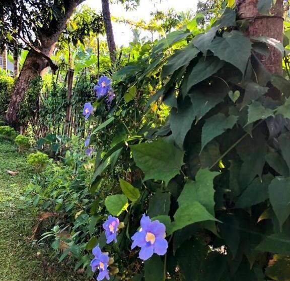 Пансион Thusitha S Nest