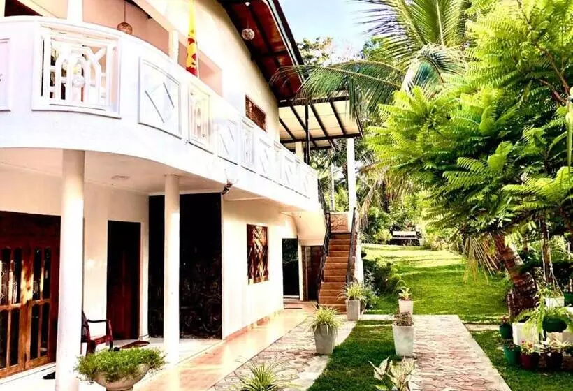 Pension Thusitha S Nest