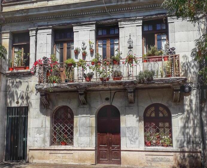 هاستل Casa Dos Leones