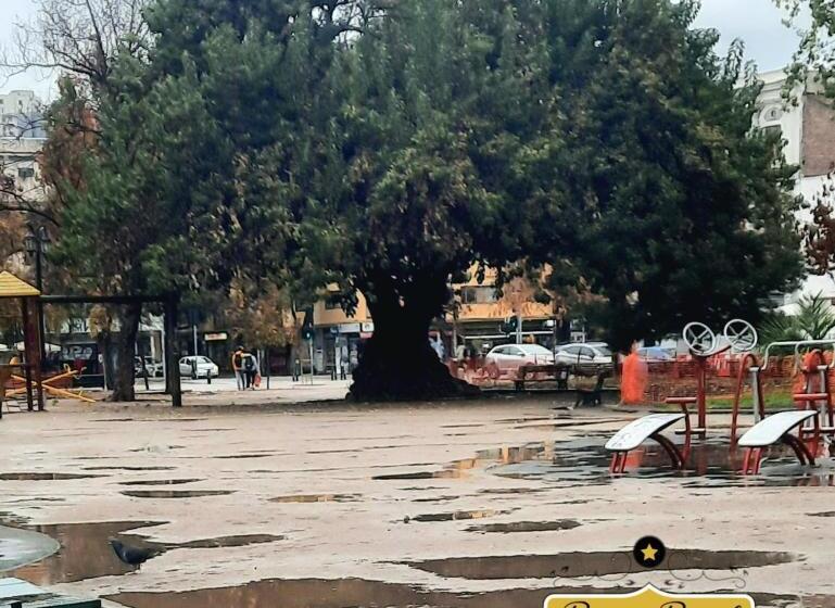 هاستل Casa Dos Leones