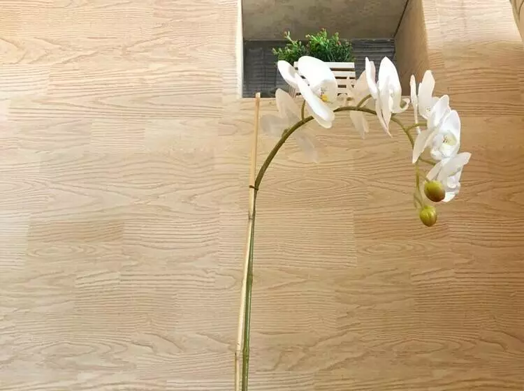 My Dream Place Hotel   Near Robinsons Mall