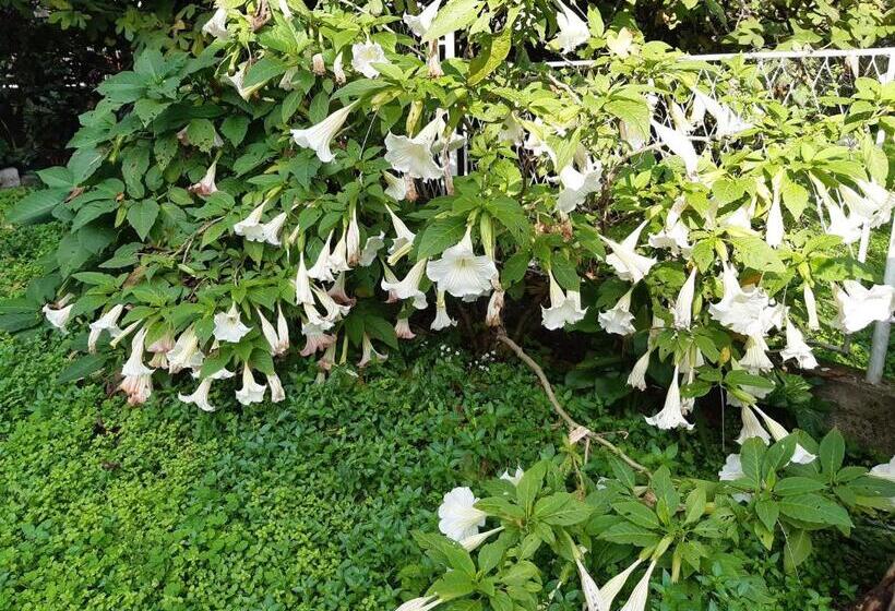 پانسیون Astakos Apartments Budva