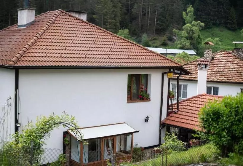 پانسیون Guest House Rossy