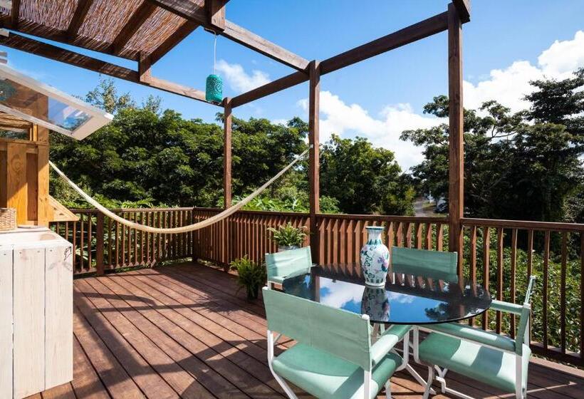 تختخواب و صبحانه Finca Victoria