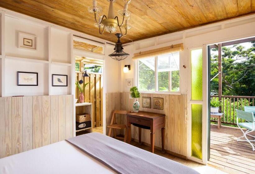 تختخواب و صبحانه Finca Victoria