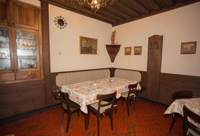 酒店 Gasthof Maurer