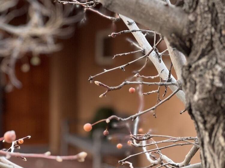 Morning Star Bed & Breakfast Of Corrales