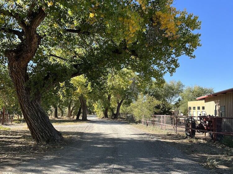 Morning Star Bed & Breakfast Of Corrales