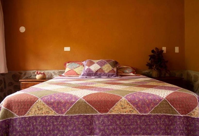 Bed & Breakfast Pedregal Ecolodge