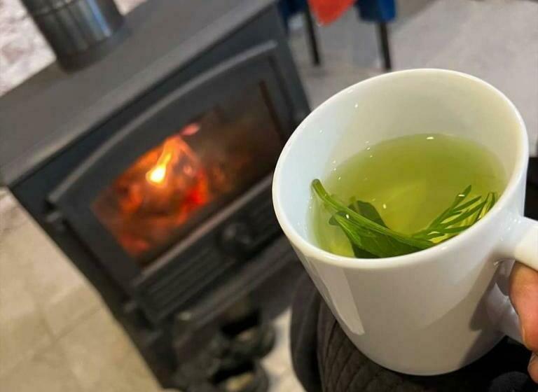 پانسیون Old Tower Guesthouse Ushguli