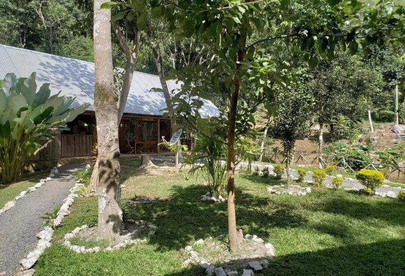 هاستل Aruma Ecohostal