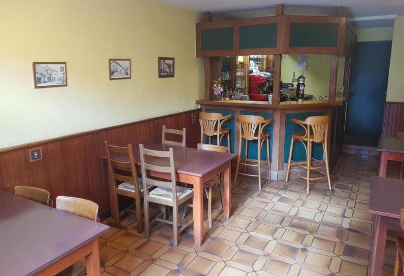 בית מלון כפרי Hôtel Ducret