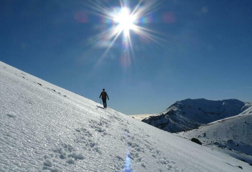 汽车旅馆  Tongariro Boutique B&b