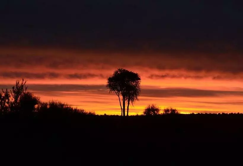 Motelli Tongariro Boutique B&b