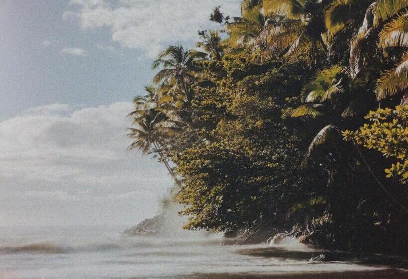 بنسيون Honomu Inn