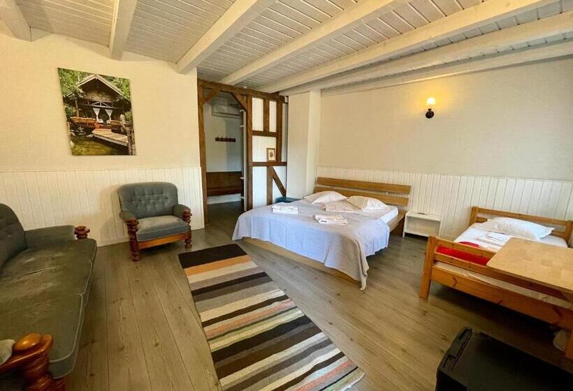 Общежитие Hanul Moara Veche Pensiune Restaurant