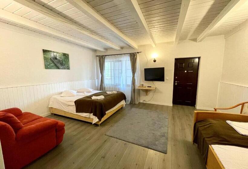 Общежитие Hanul Moara Veche Pensiune Restaurant