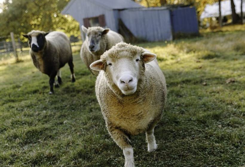 Общежитие Woolverton Inn