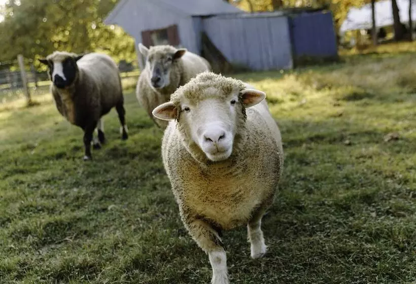 Retkeilymaja Woolverton Inn