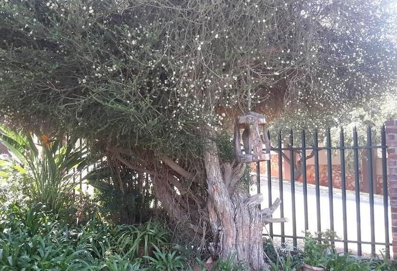 住宿加早餐 Chez Esme Guest House