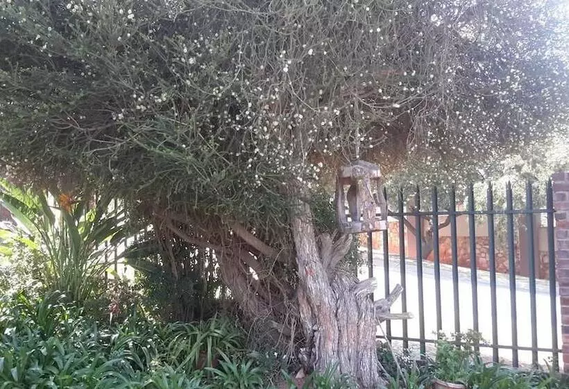 Aamiaismajoitus (B&B) Chez Esme Guest House