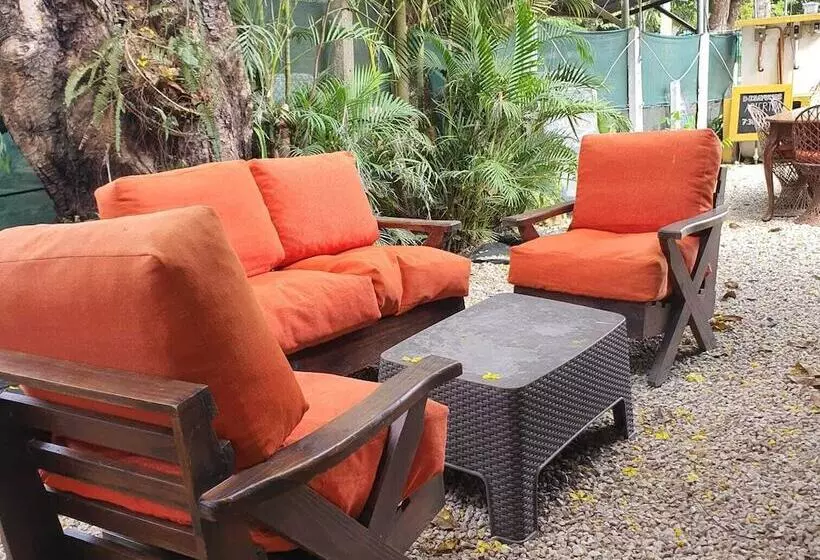 ベッドアンドブレックファースト Cristina S