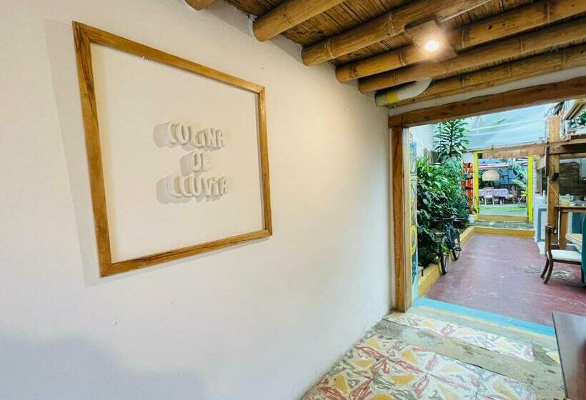 هاستل Hostal Colina De Lluvia