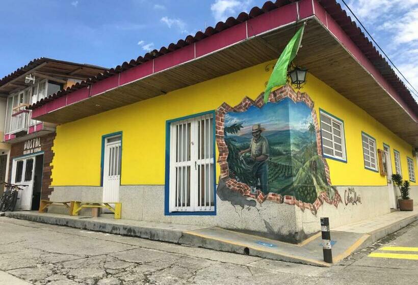 هاستل Hostal Colina De Lluvia