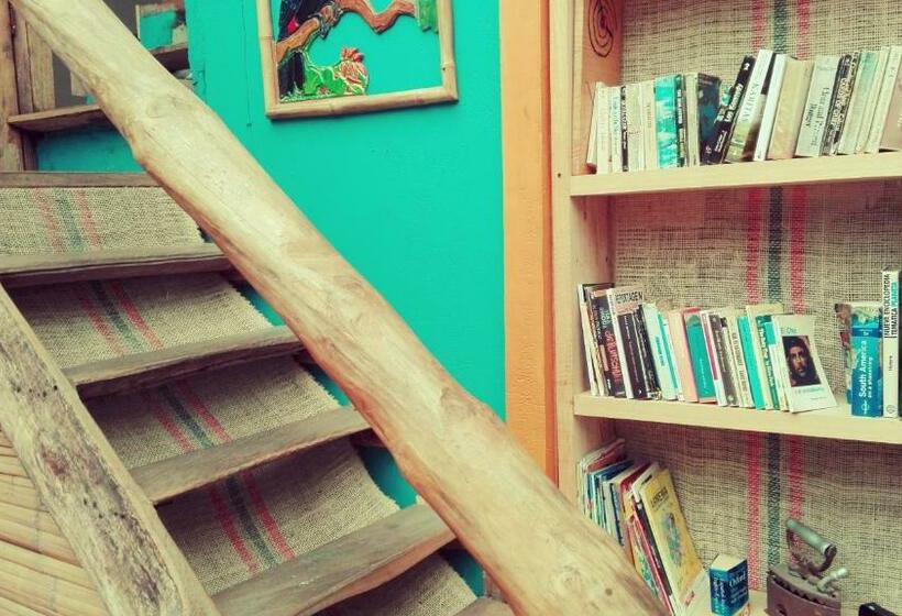 هاستل Hostal Colina De Lluvia