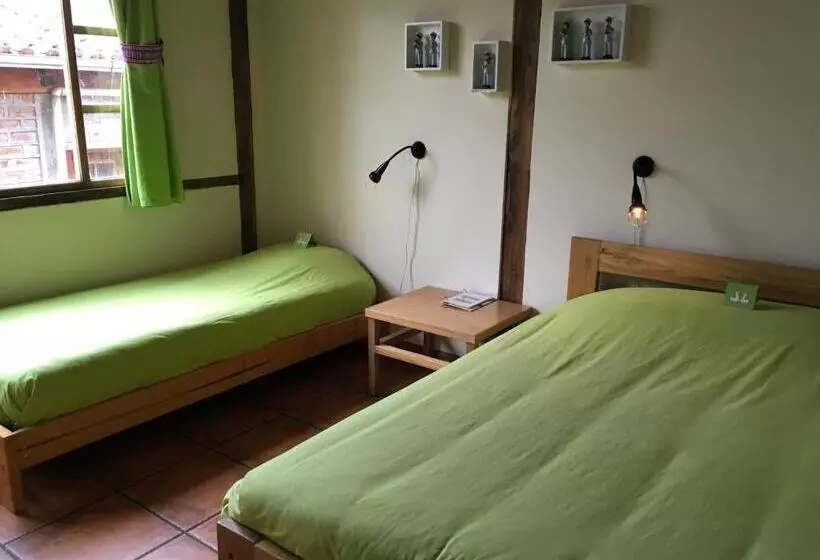 ホテル Inti Sisa Art Guesthouse