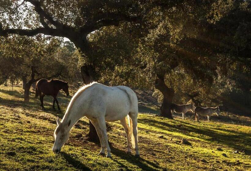 酒店 Parque De Natureza De Noudar
