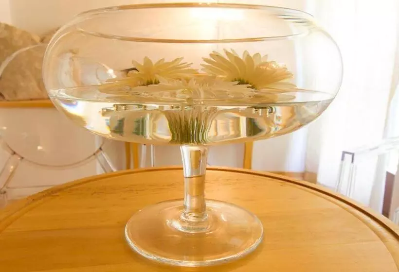 ペンション Residence Apolonija Guest House