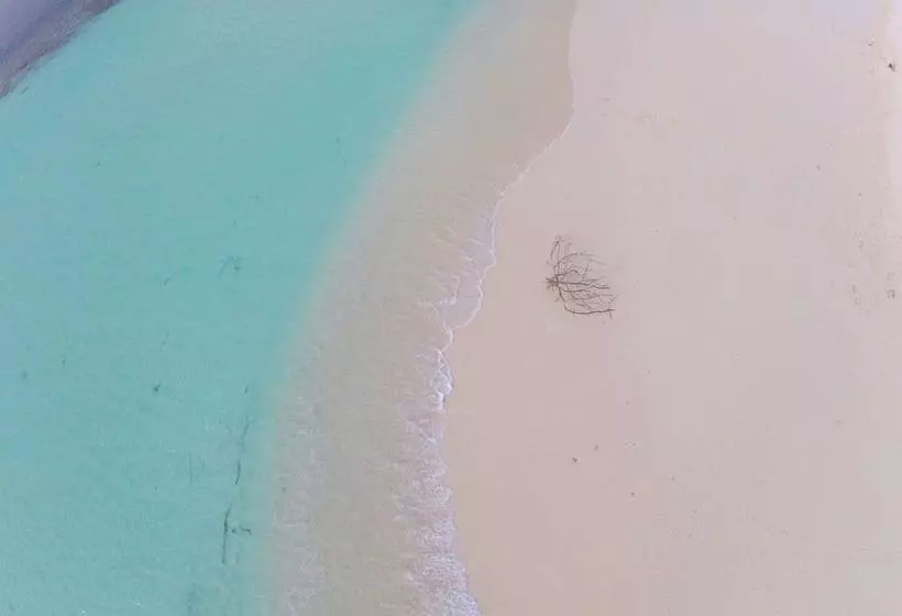 پانسیون Beach Star Maldives