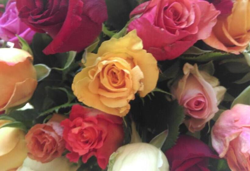 Schlosshotel Betzenstein