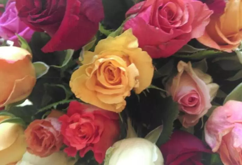 Schlosshotel Betzenstein