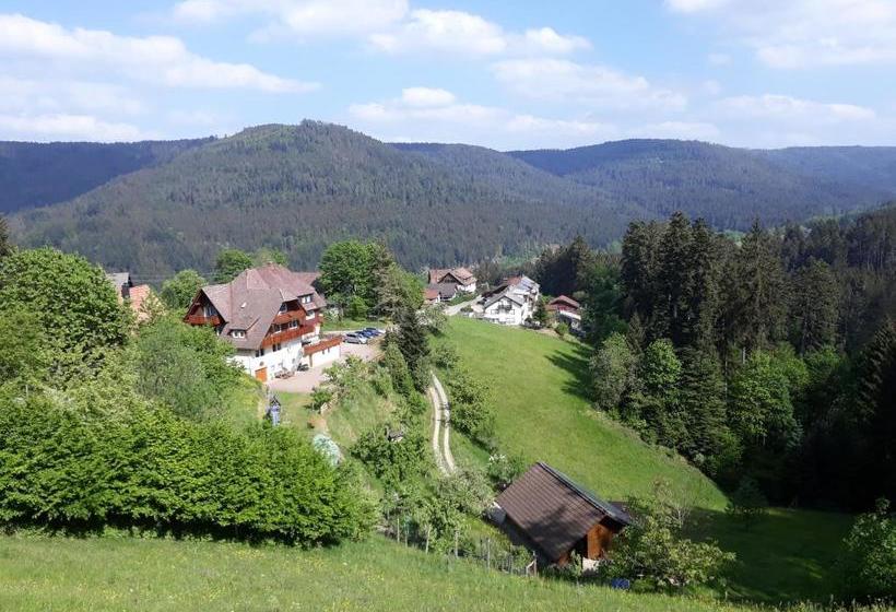 Пансион Landhaus Waldeshöhe