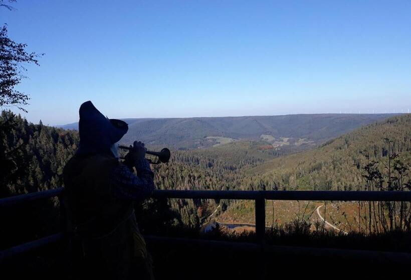 Пансион Landhaus Waldeshöhe