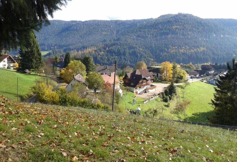 Пансион Landhaus Waldeshöhe