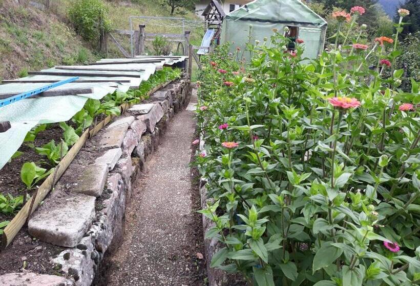 Пансион Landhaus Waldeshöhe